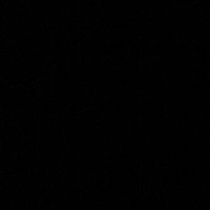 Meet your Posher, Dakota